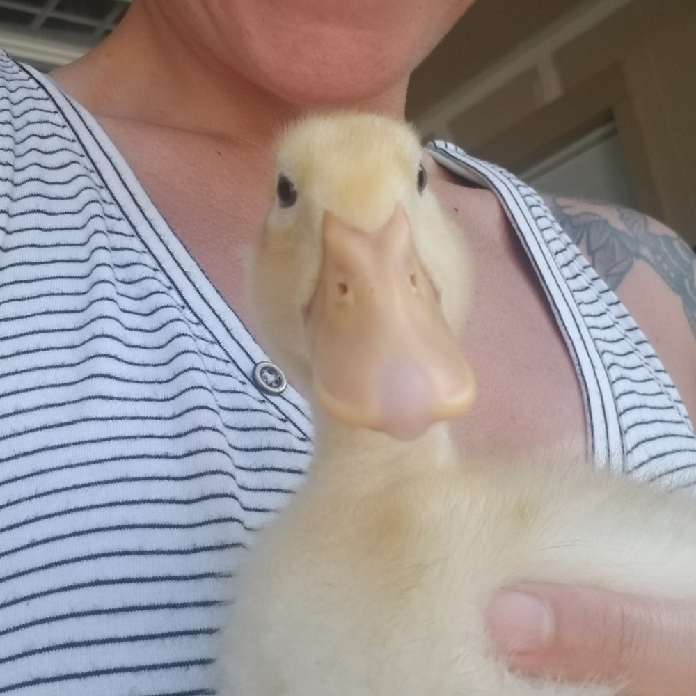 Meet your Posher, Leah